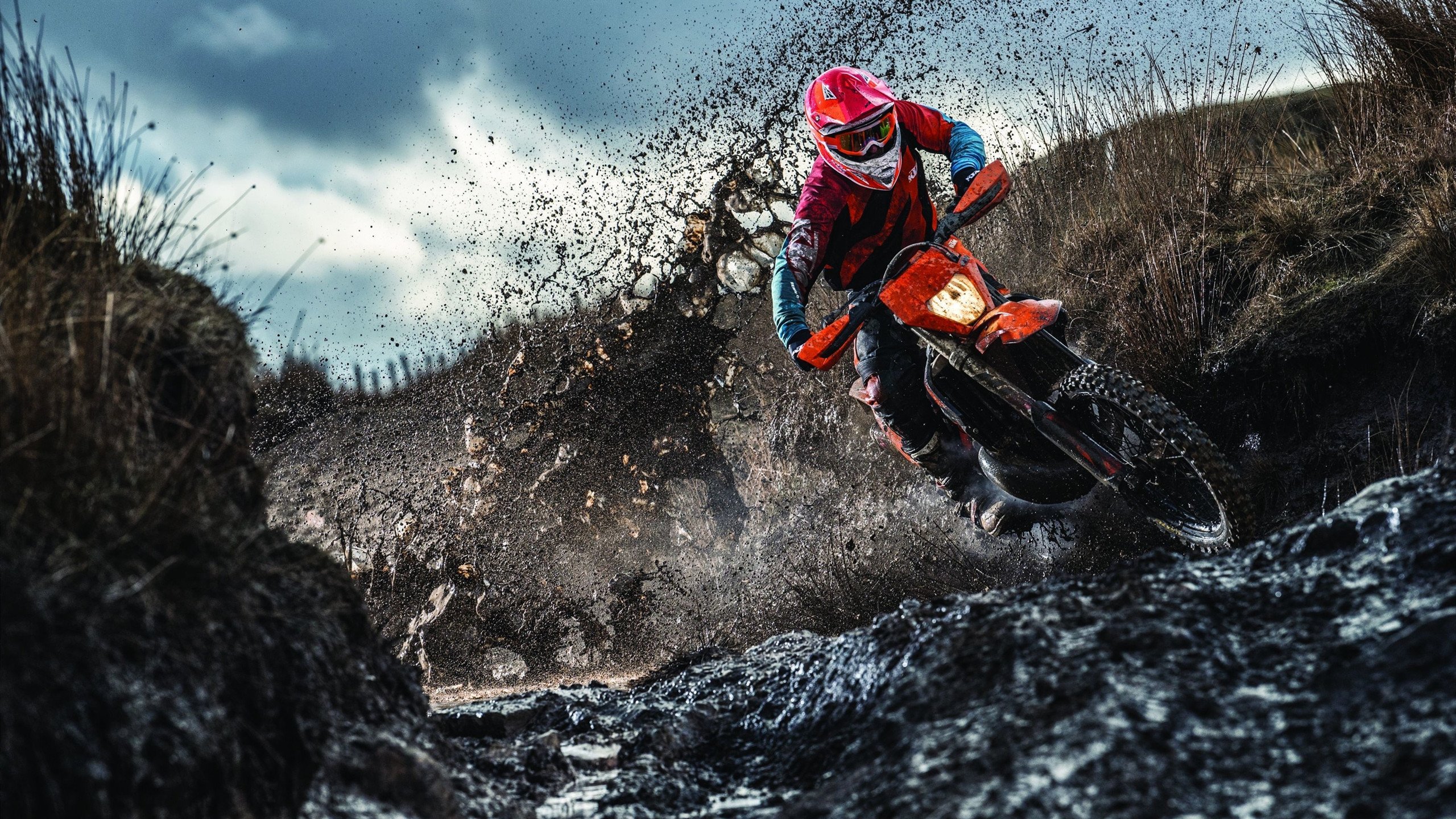 青训选拔日设立家庭陪同观察窗口推动共同成长